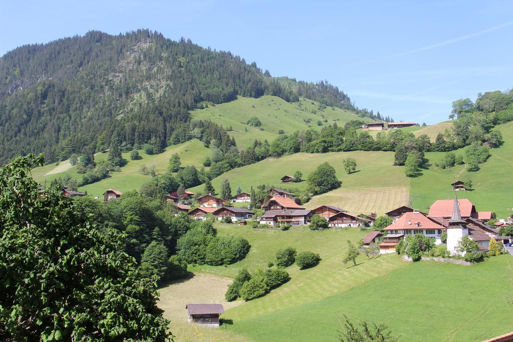 Chalet Park Apartment Mit Sauna Hamam Diemtigen Camera foto