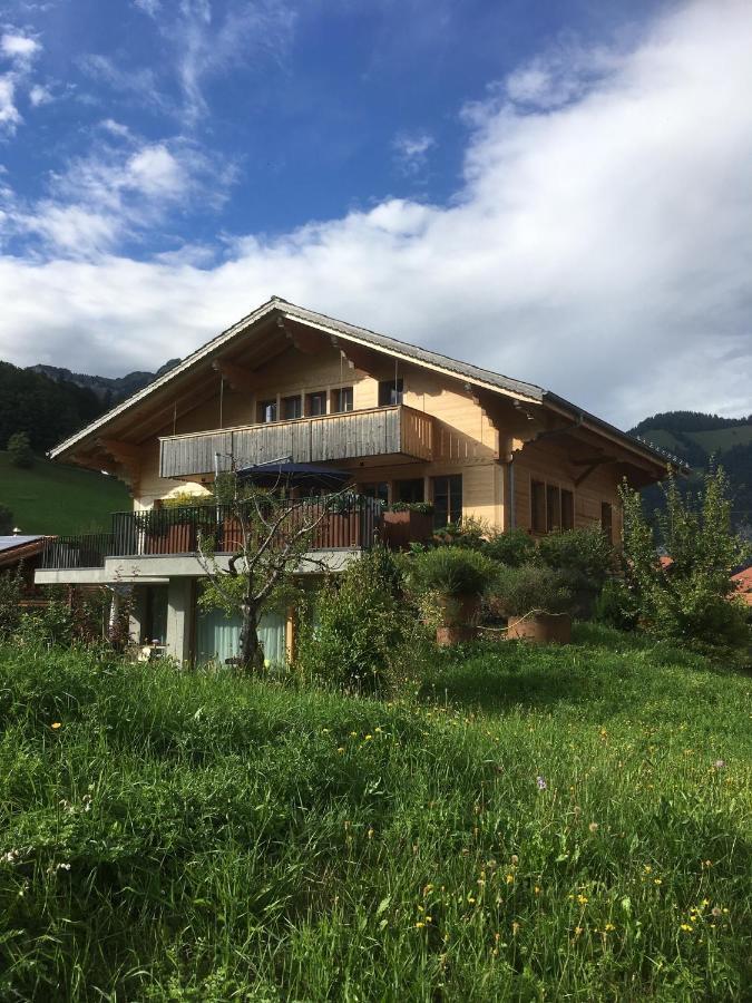 Chalet Park Apartment Mit Sauna Hamam Diemtigen Esterno foto